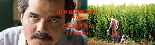 прущие грибы Надым