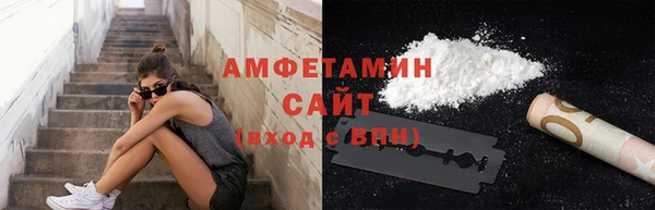 прущие грибы Надым