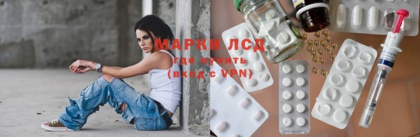 прущие грибы Надым