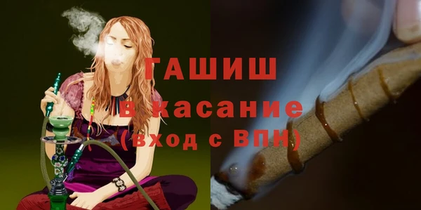 прущие грибы Надым