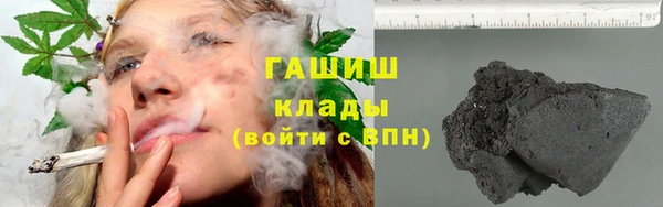 прущие грибы Надым
