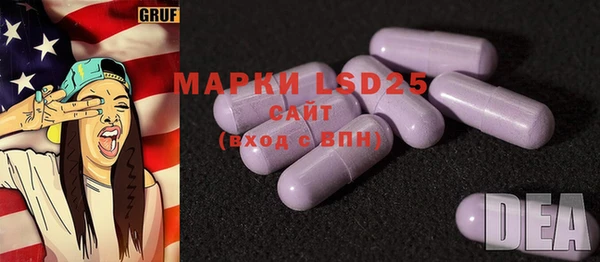 прущие грибы Надым