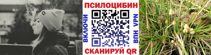 Псилоцибиновые грибы Psilocybine cubensis  shop формула  Черноголовка 
